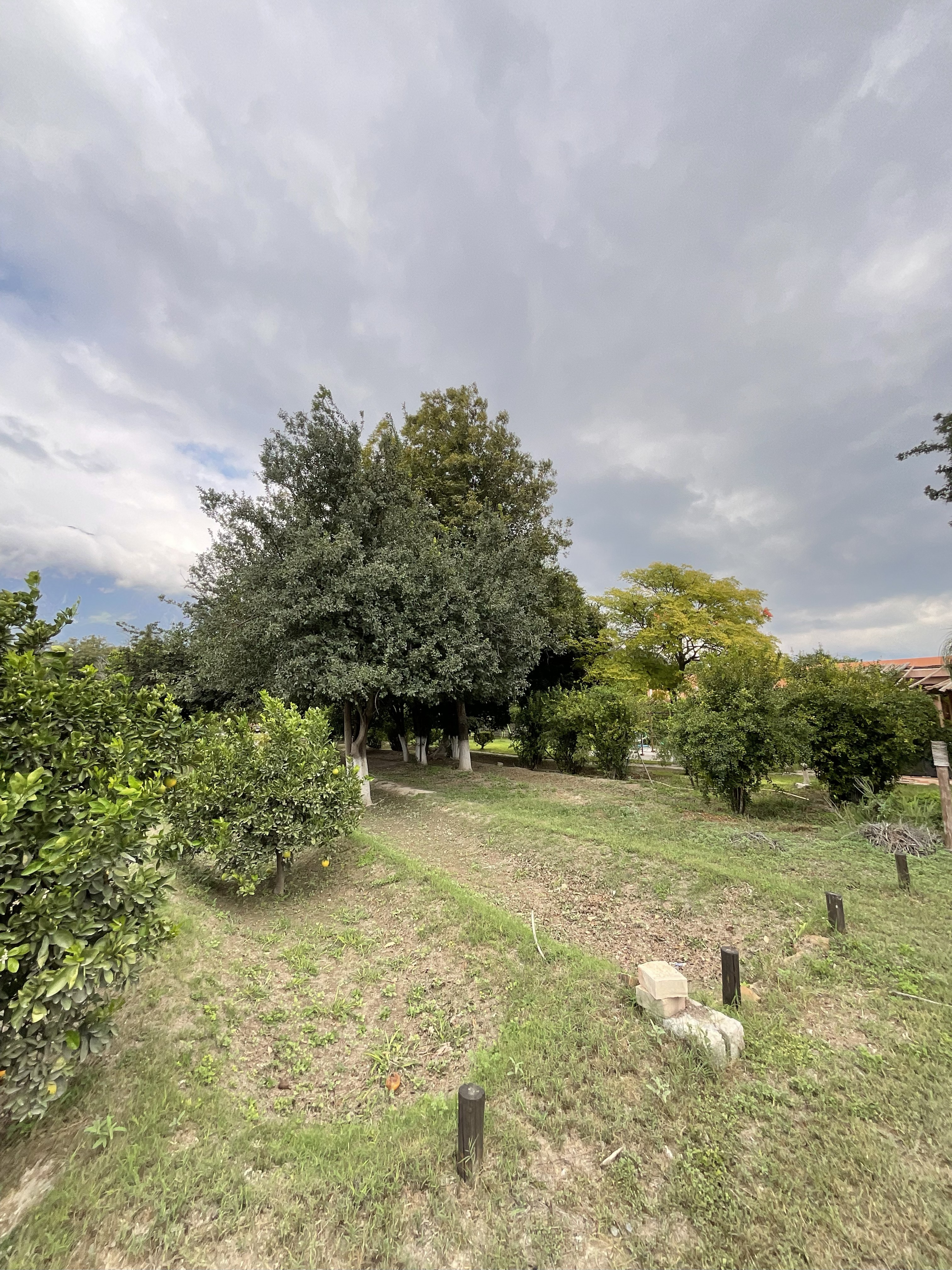 Terreno en Venta en Cabecera Municipal