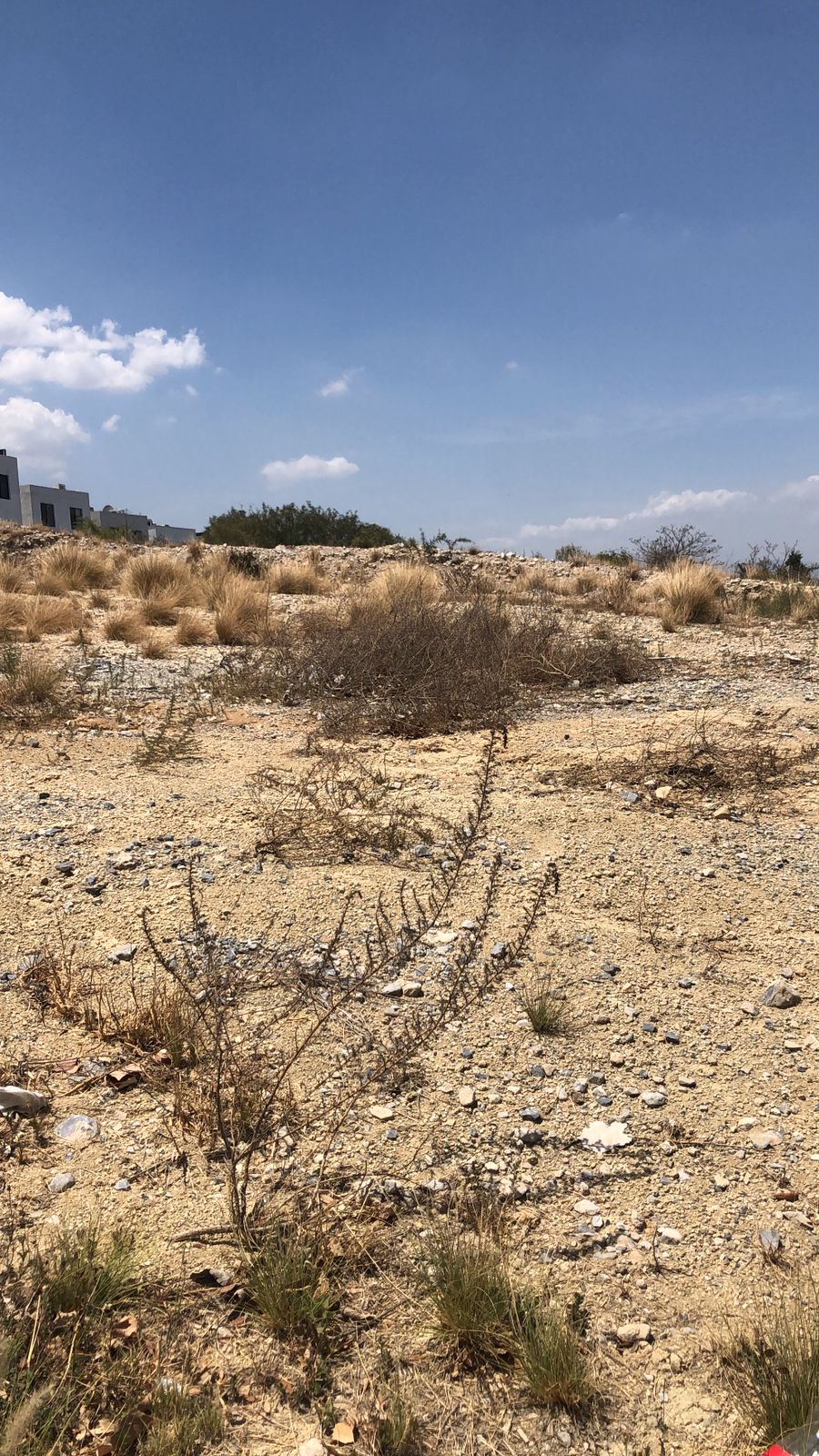 Terreno en Renta en CUMBRES