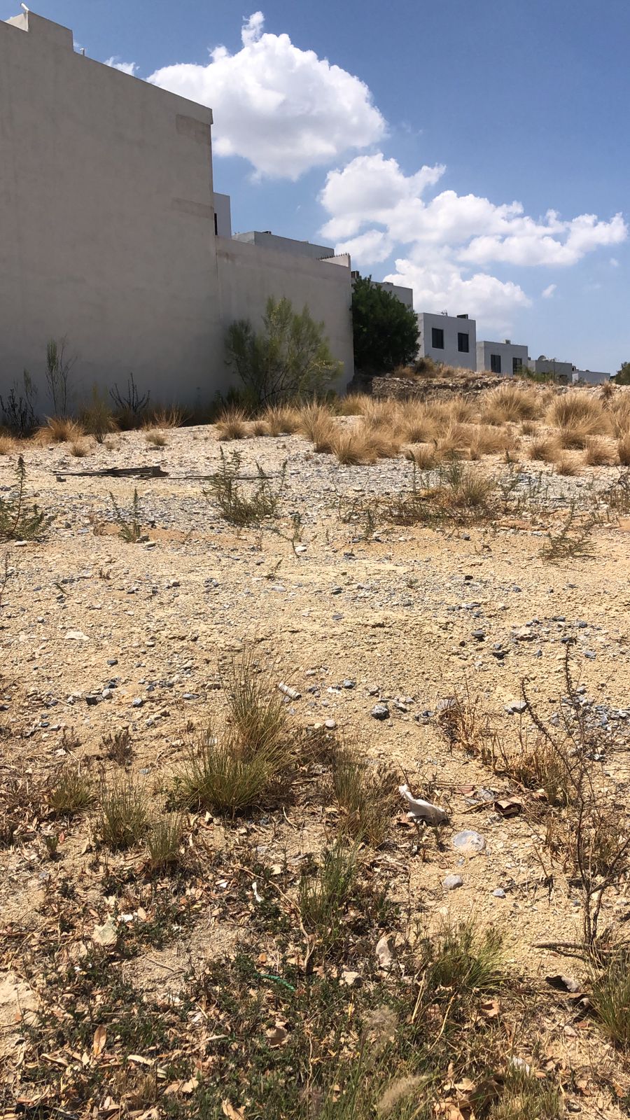 Terreno en Renta en CUMBRES