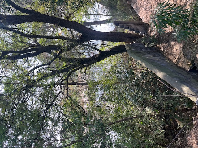 Quinta en Venta en Palmitos (Hacienda Palmitos)