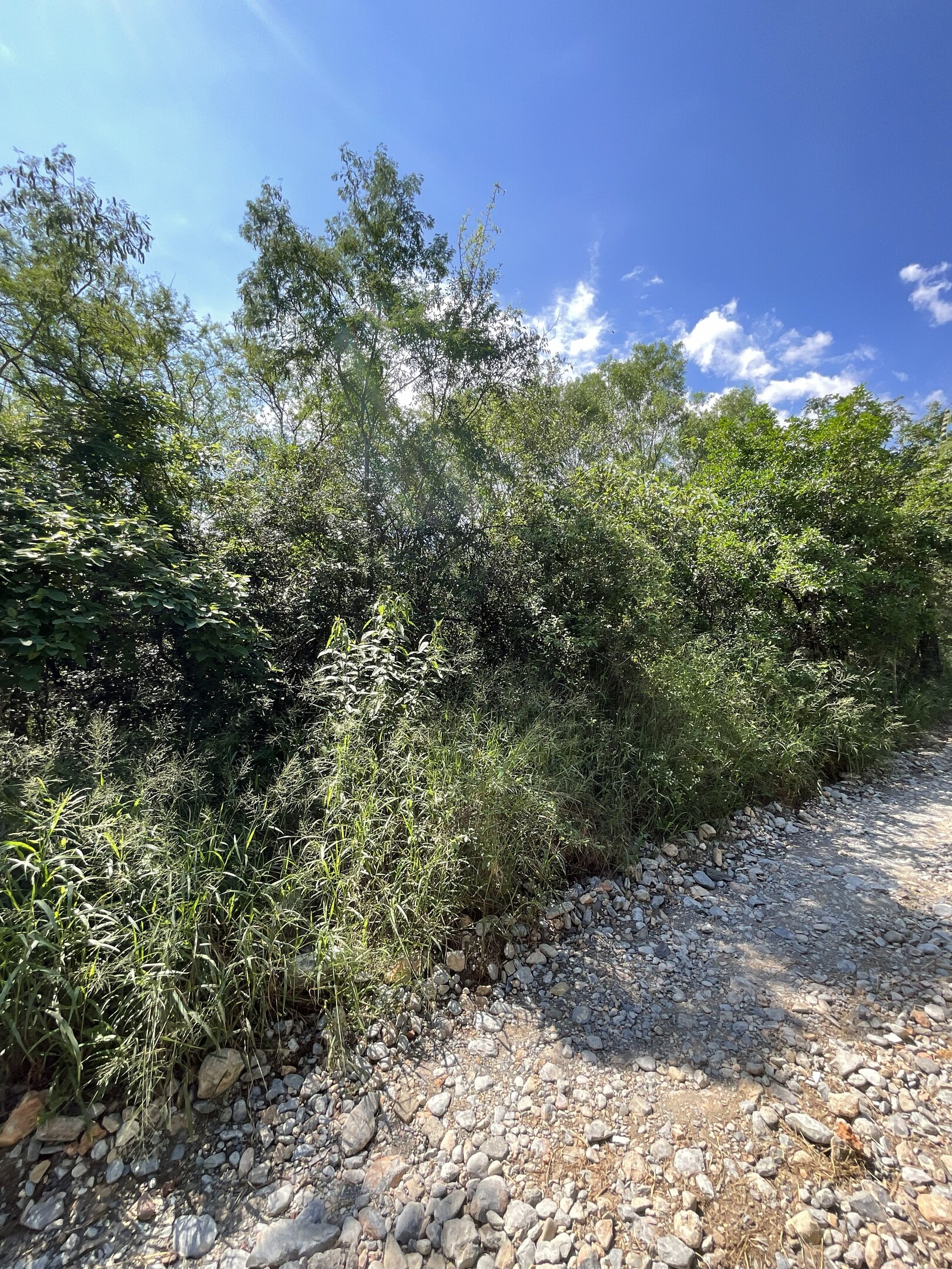 Terreno en Venta en San Francisco