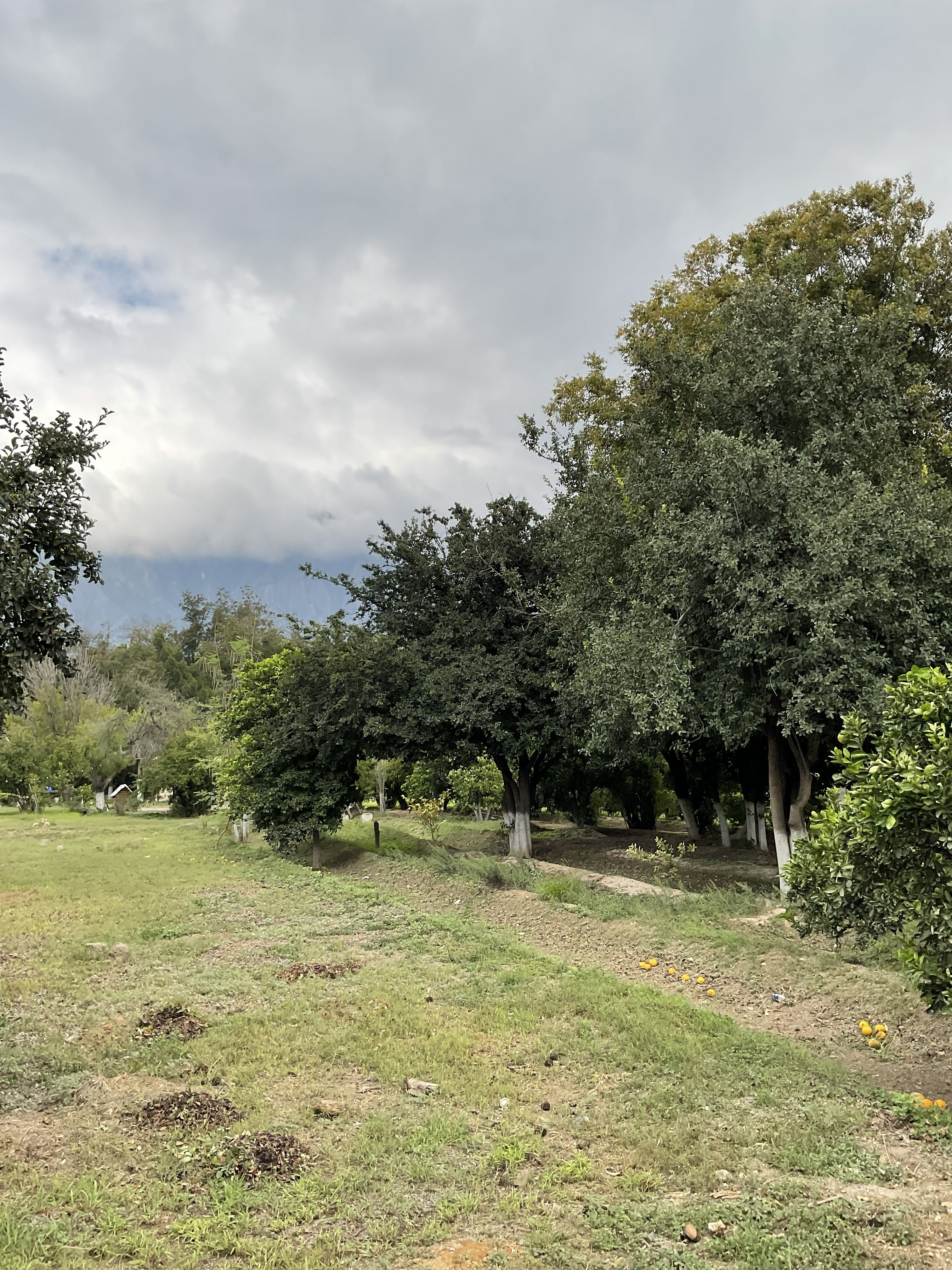 Terreno en Venta en Cabecera Municipal