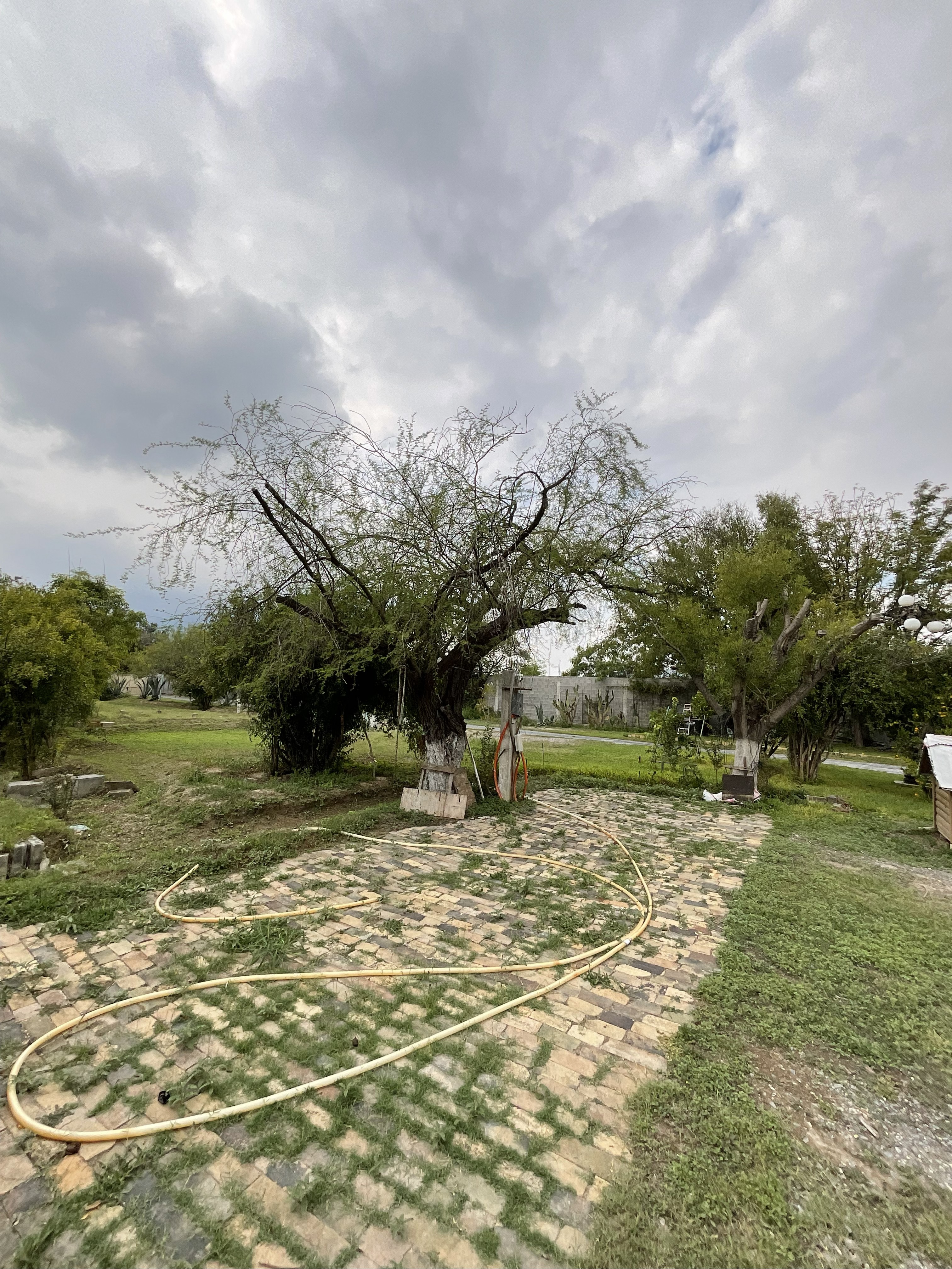 Terreno en Venta en Cabecera Municipal