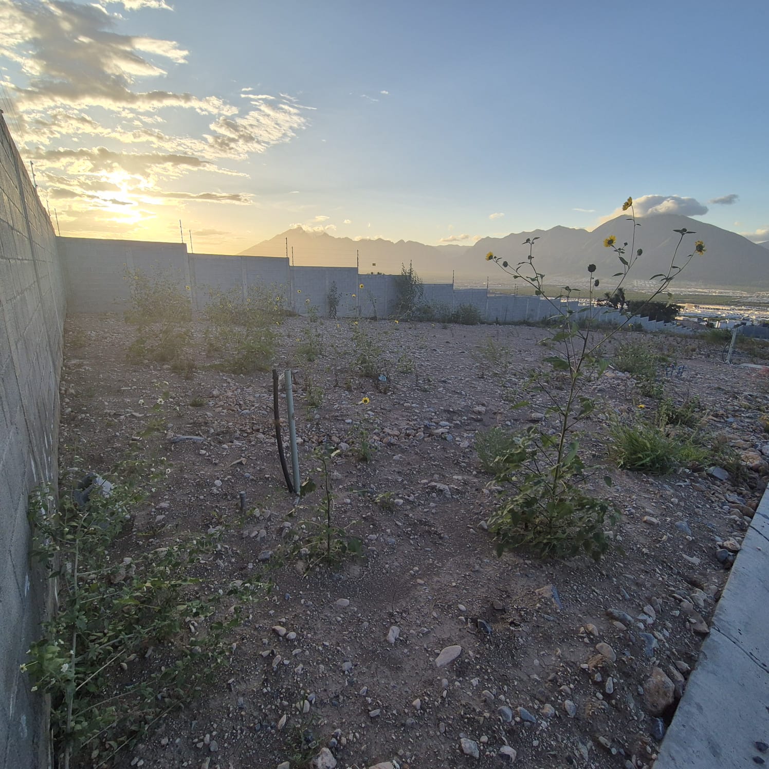 Terreno en Venta en Paloblanco Residencial