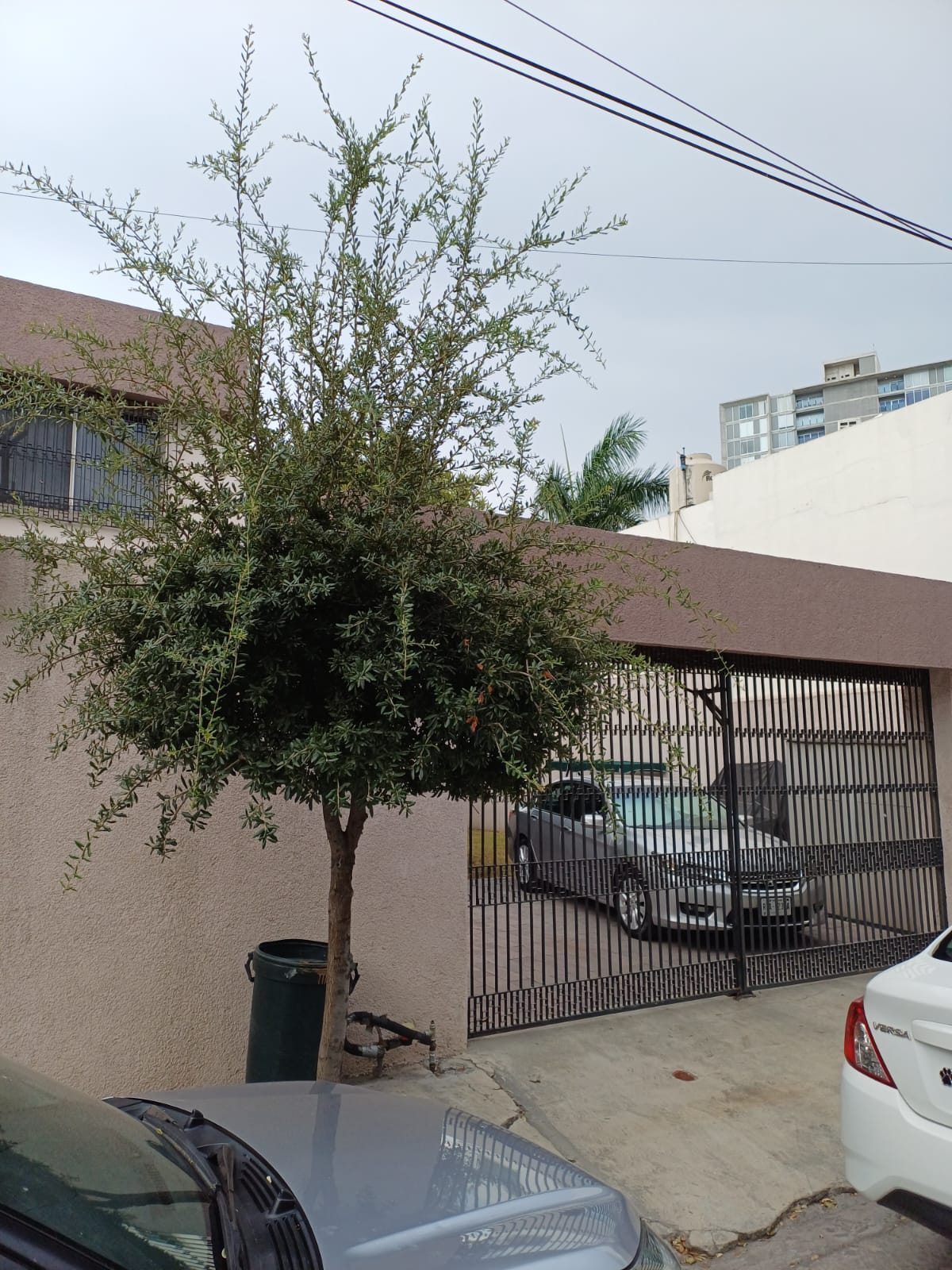 Casa en Renta en Potrero Anáhuac