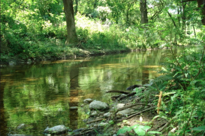 Terreno en Venta en Congregación Calles