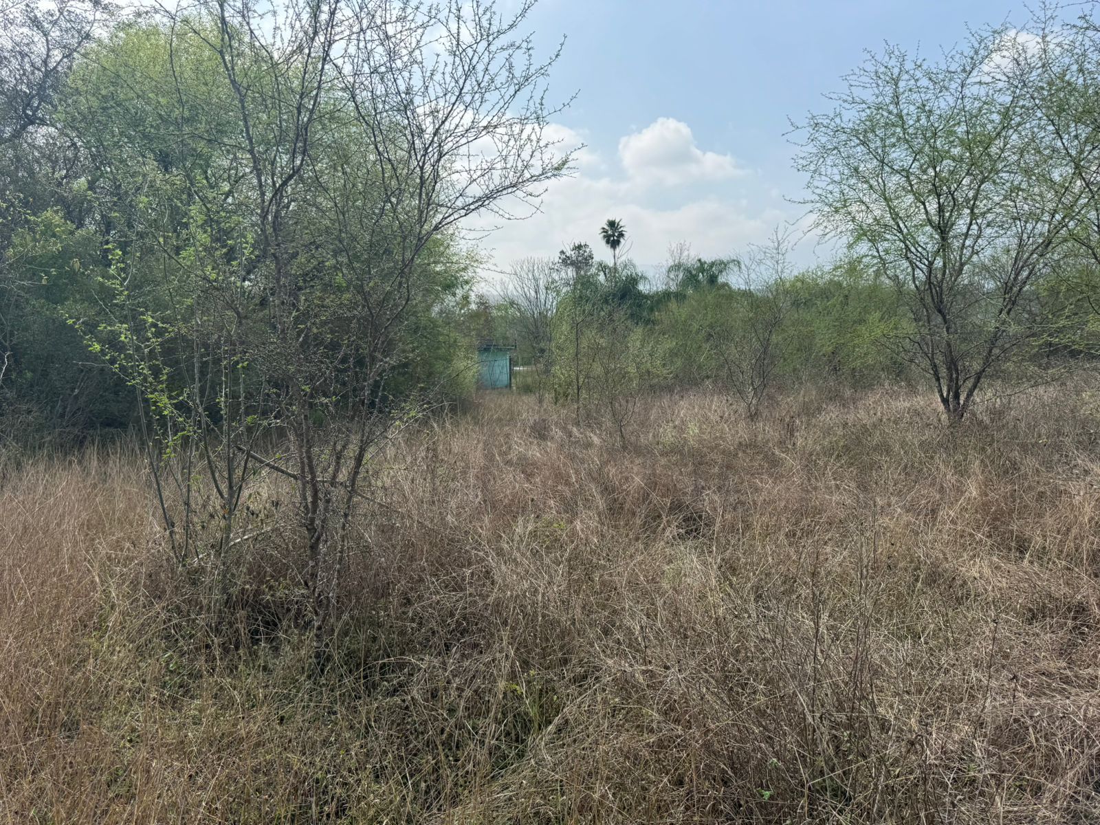 Terreno en Venta en El Pastor