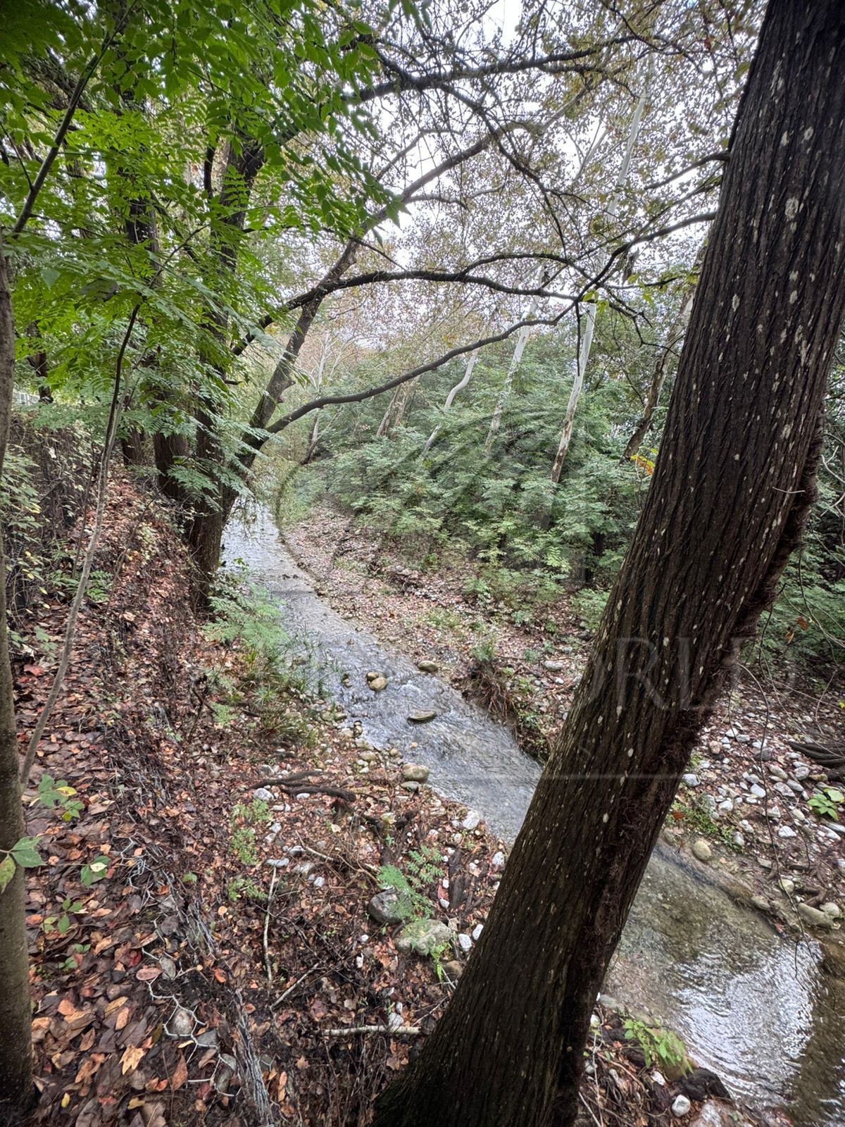 Terreno en Venta en La Noria