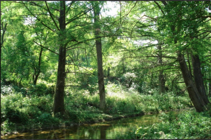 Terreno en Venta en Congregación Calles