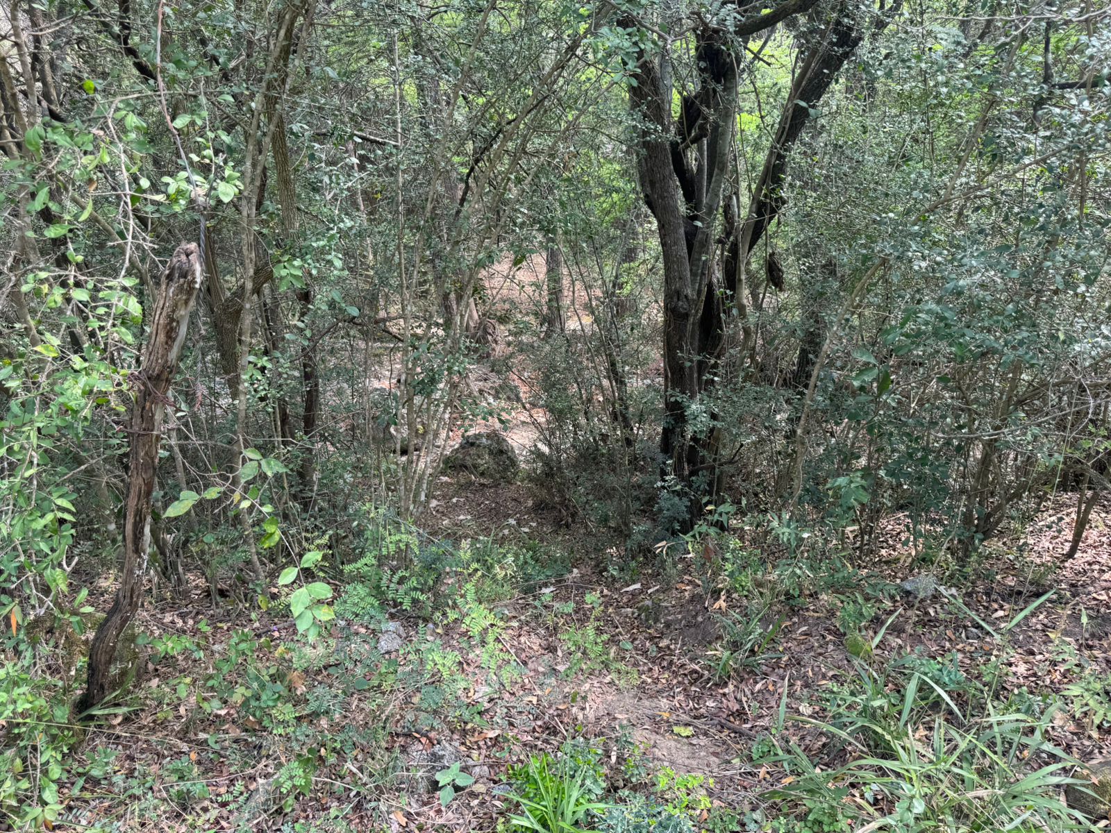 Terreno en Venta en El Pastor