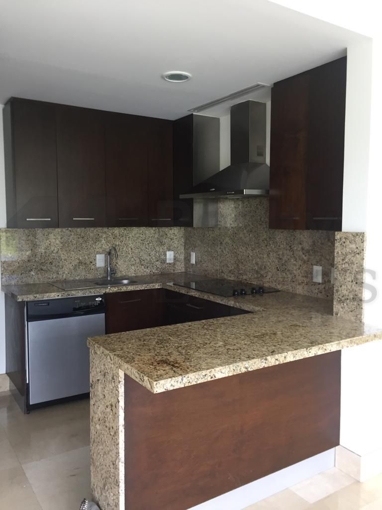 Departamento en Renta en Del Valle Sect Norte