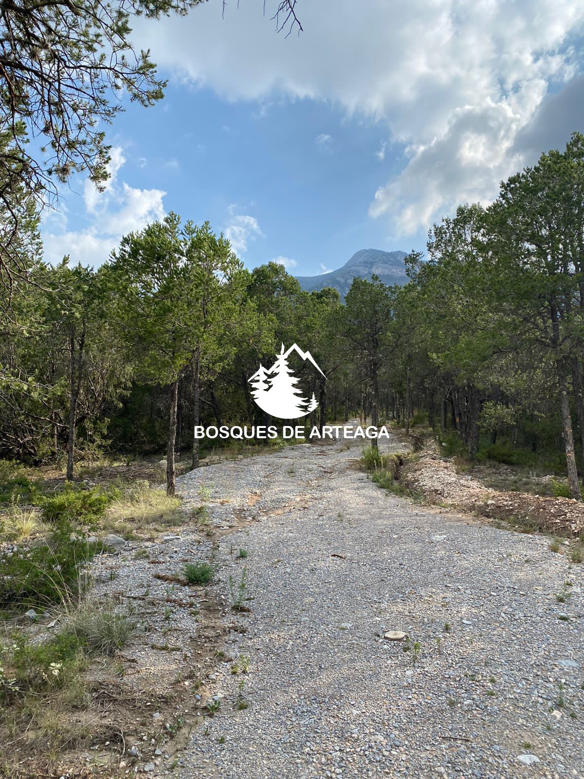 Terreno en Venta en Sin Colonia