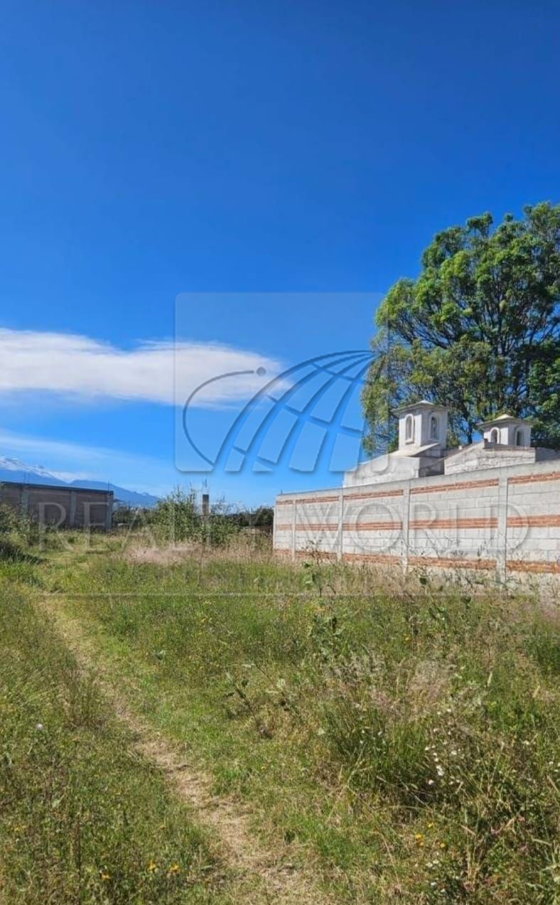 Terreno en Venta en Sin Colonia