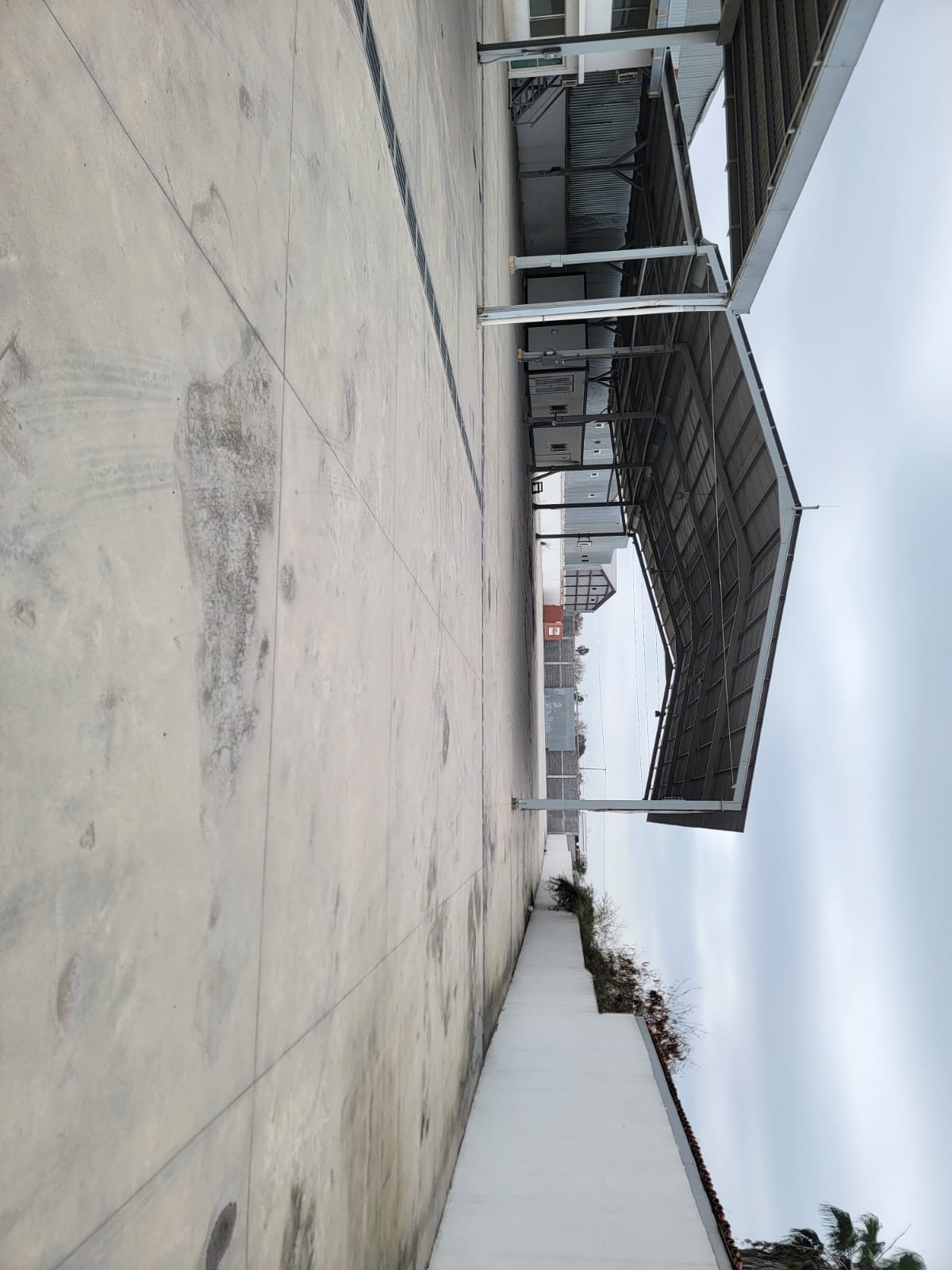 Terreno en Renta en Moisés Sáenz