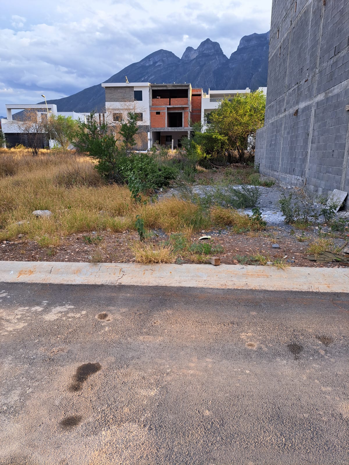 Terreno en Venta en Cumbres Platino