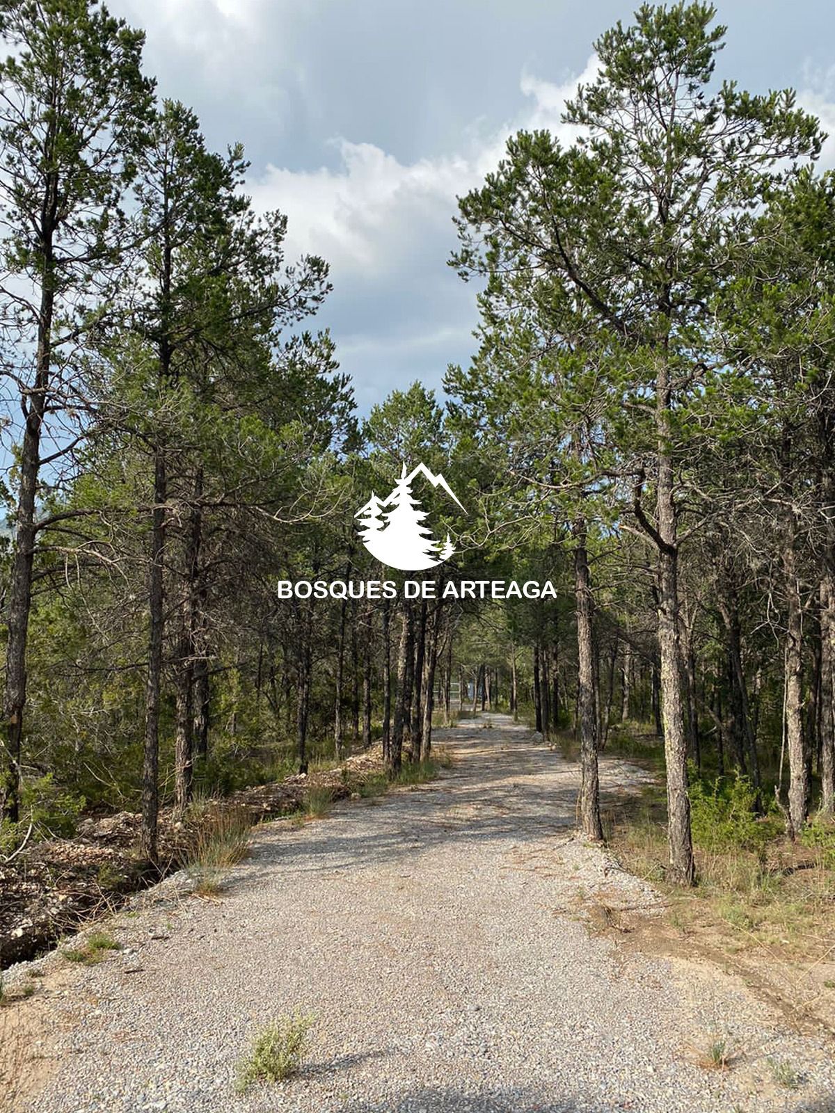 Terreno en Venta en Sin Colonia