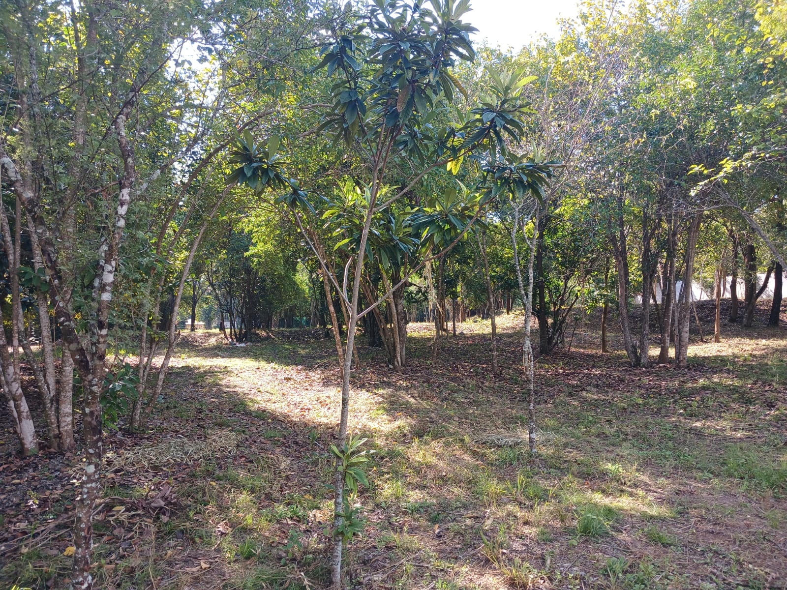 Terreno en Venta en Santiago
