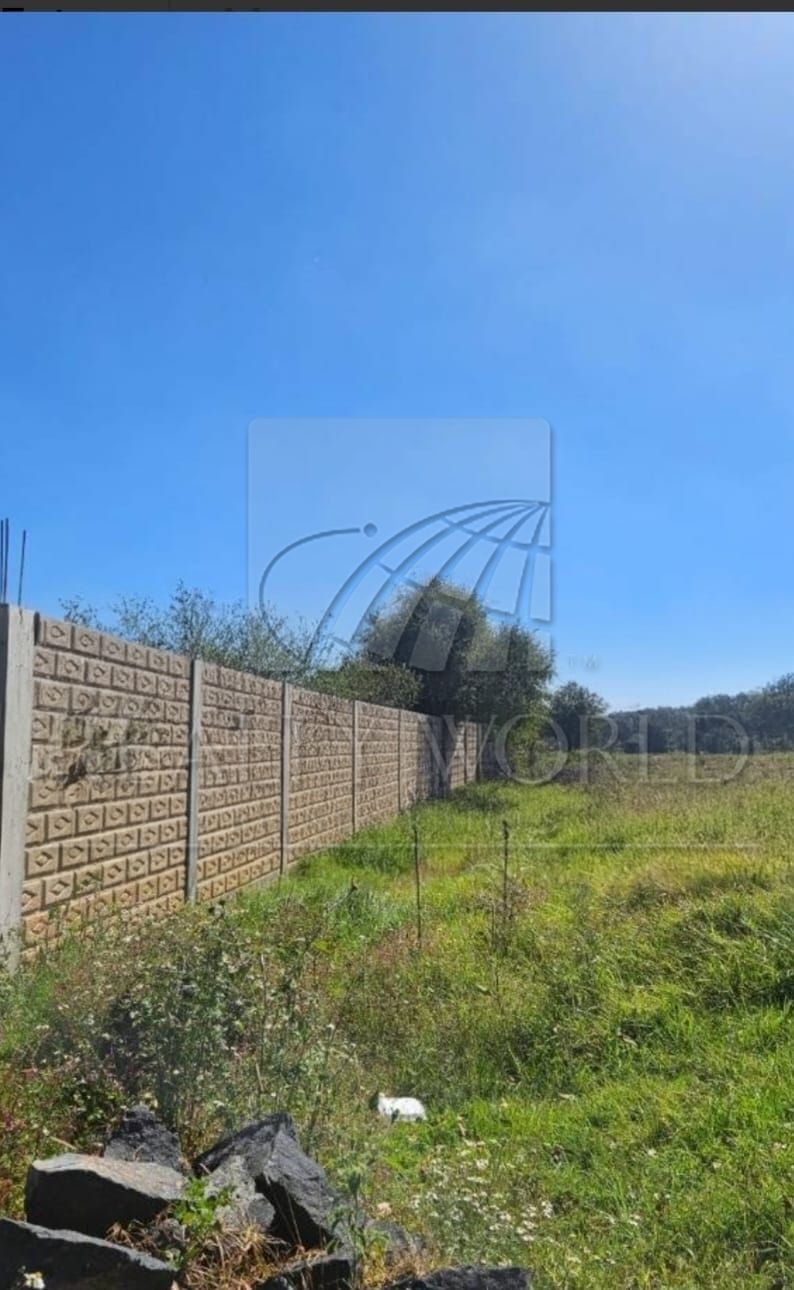 Terreno en Venta en Sin Colonia