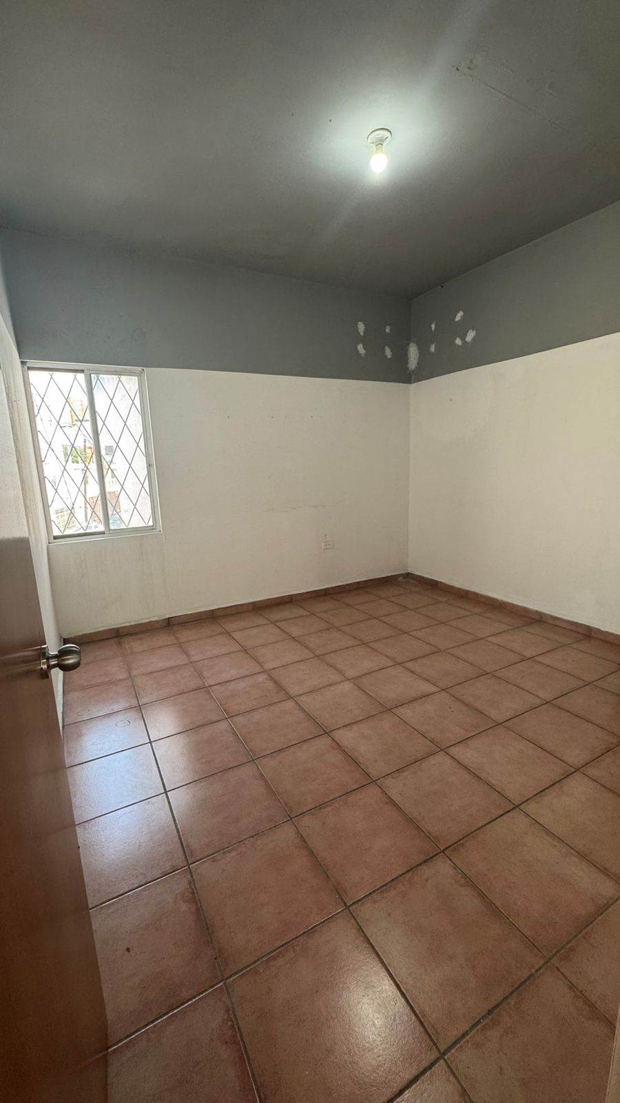 Local en Renta en Mitras Norte