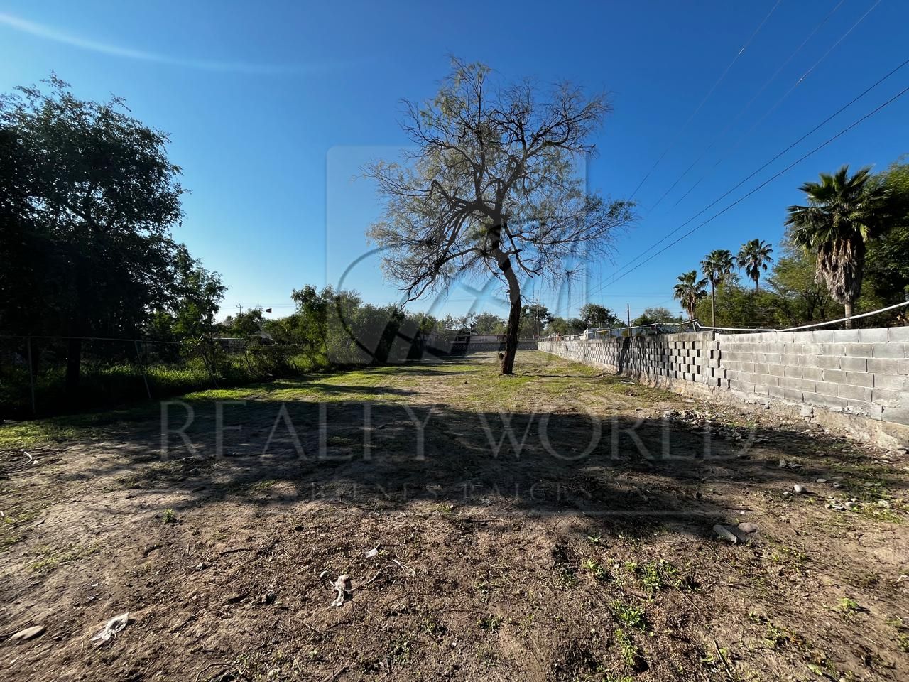 Terreno en Renta en Sin Colonia