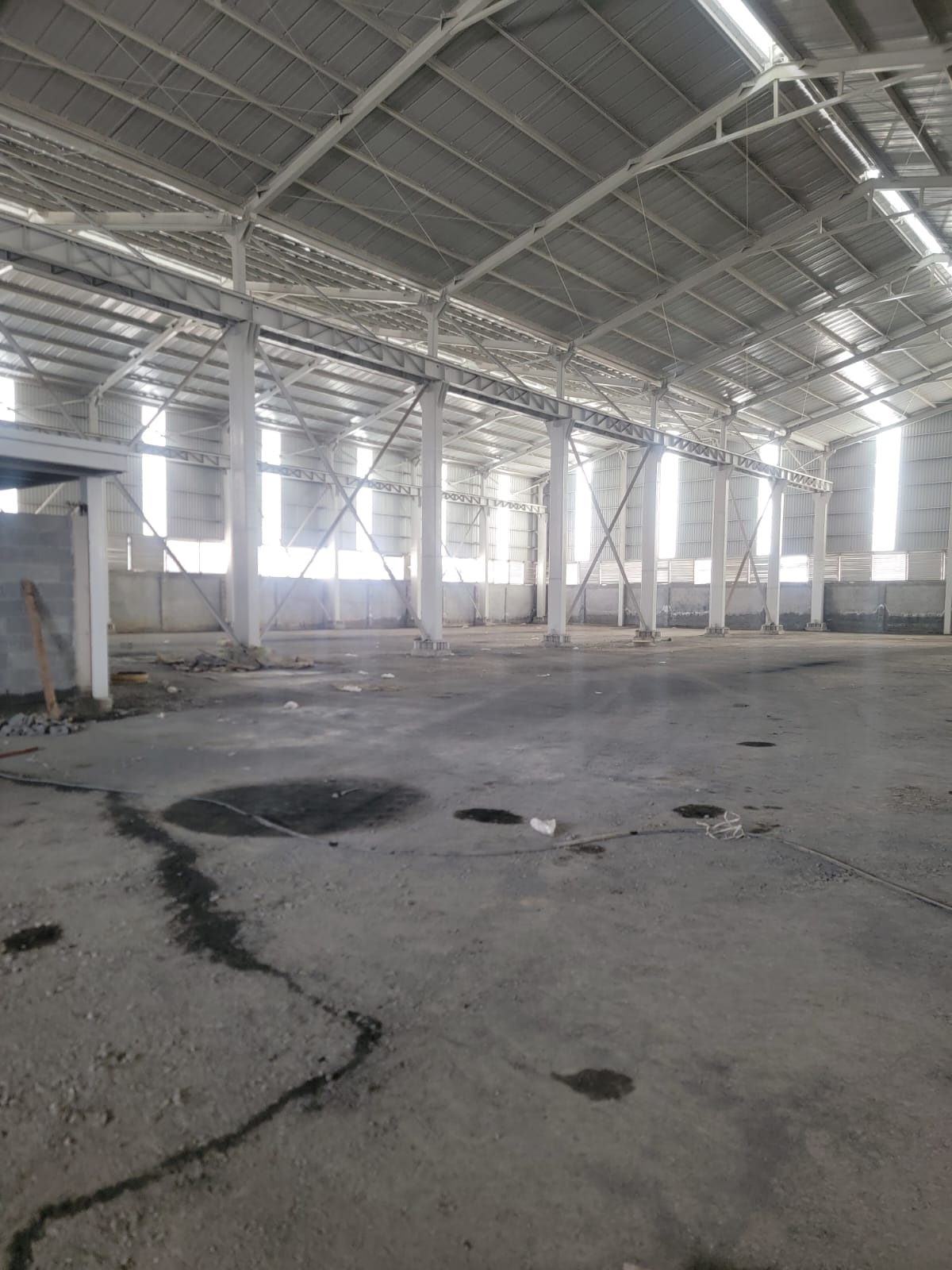 Bodega en Renta en Sin Colonia