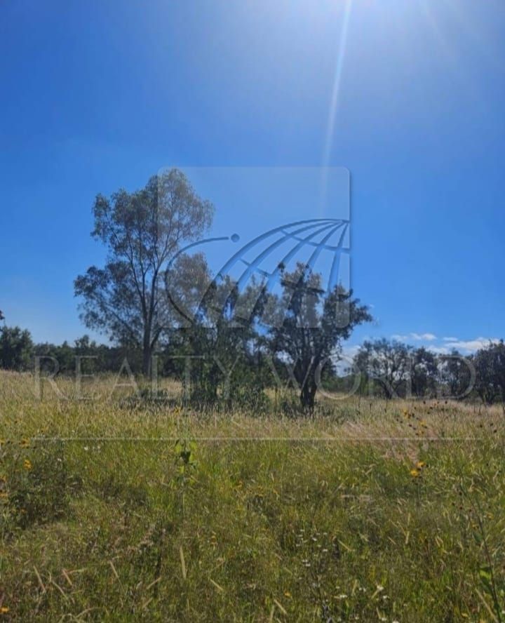 Terreno en Venta en Sin Colonia