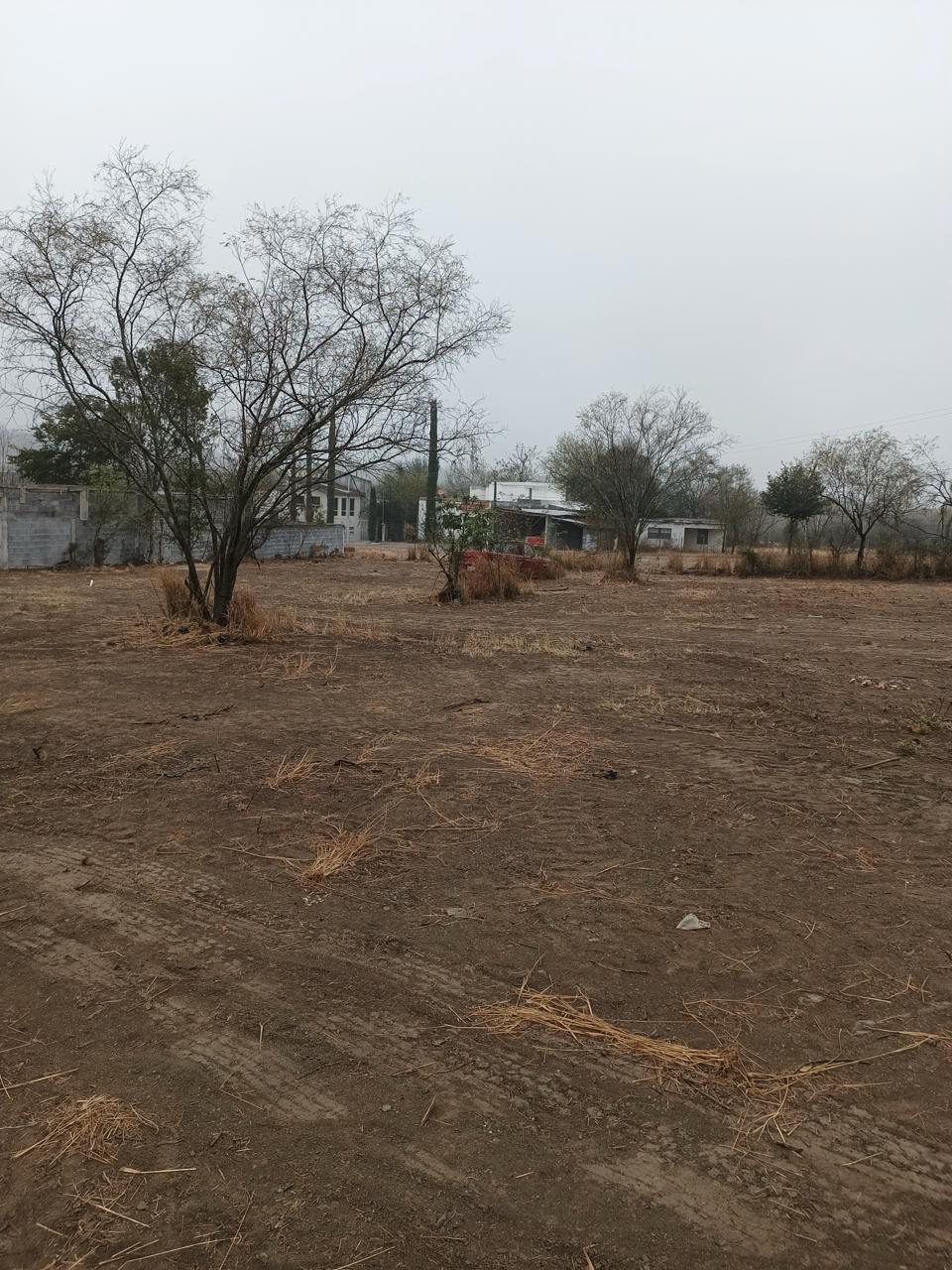 Terreno en Venta en Montemorelos Centro