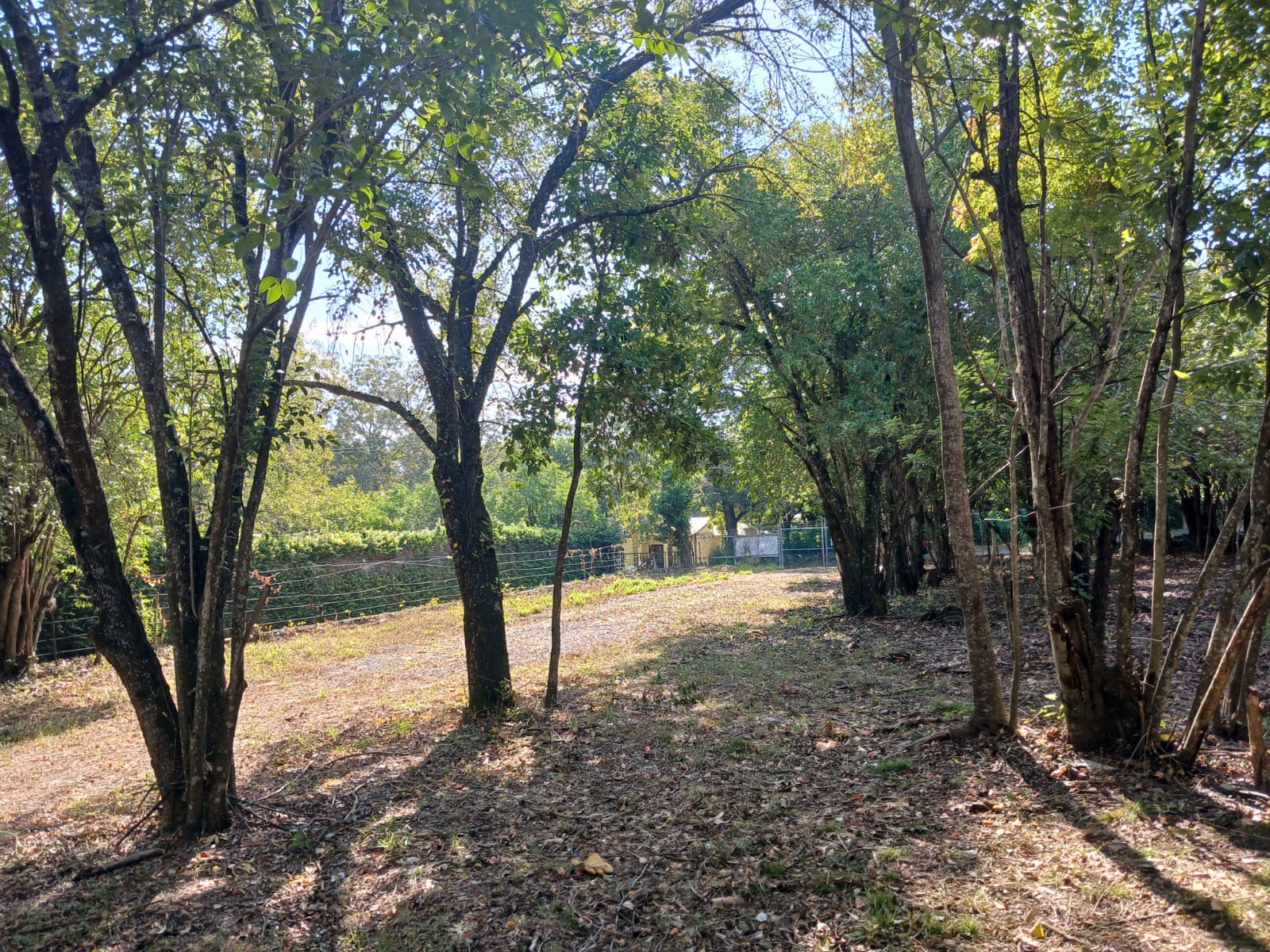 Terreno en Venta en Santiago