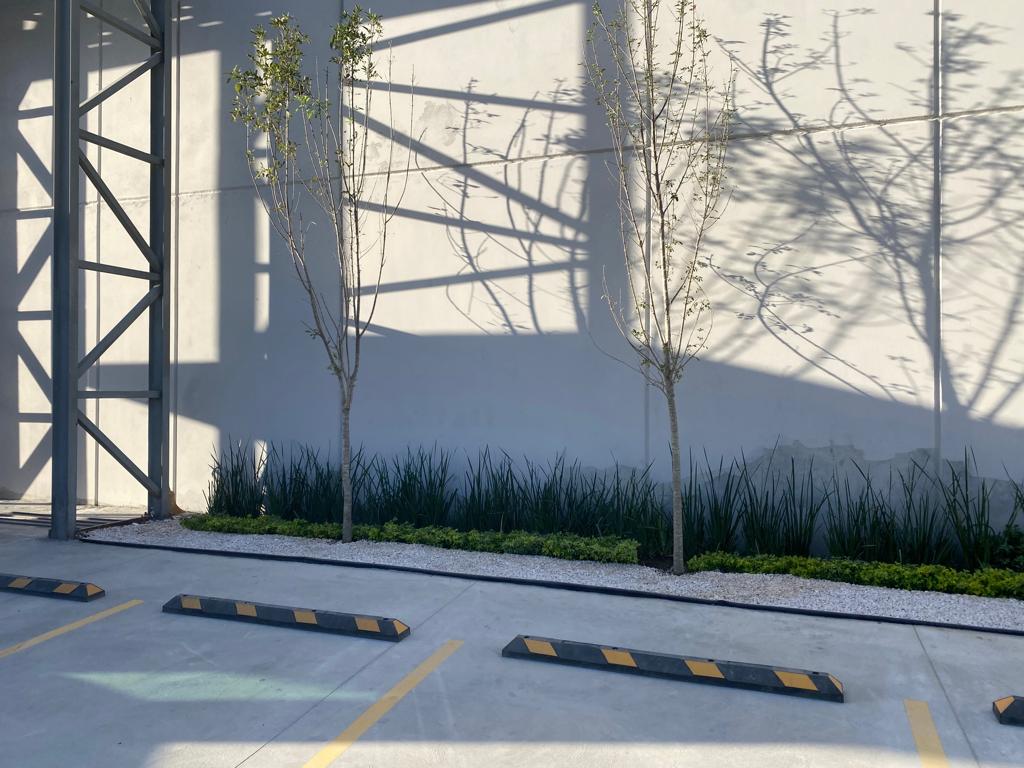 Bodega en Renta en Industrial Santa Catarina