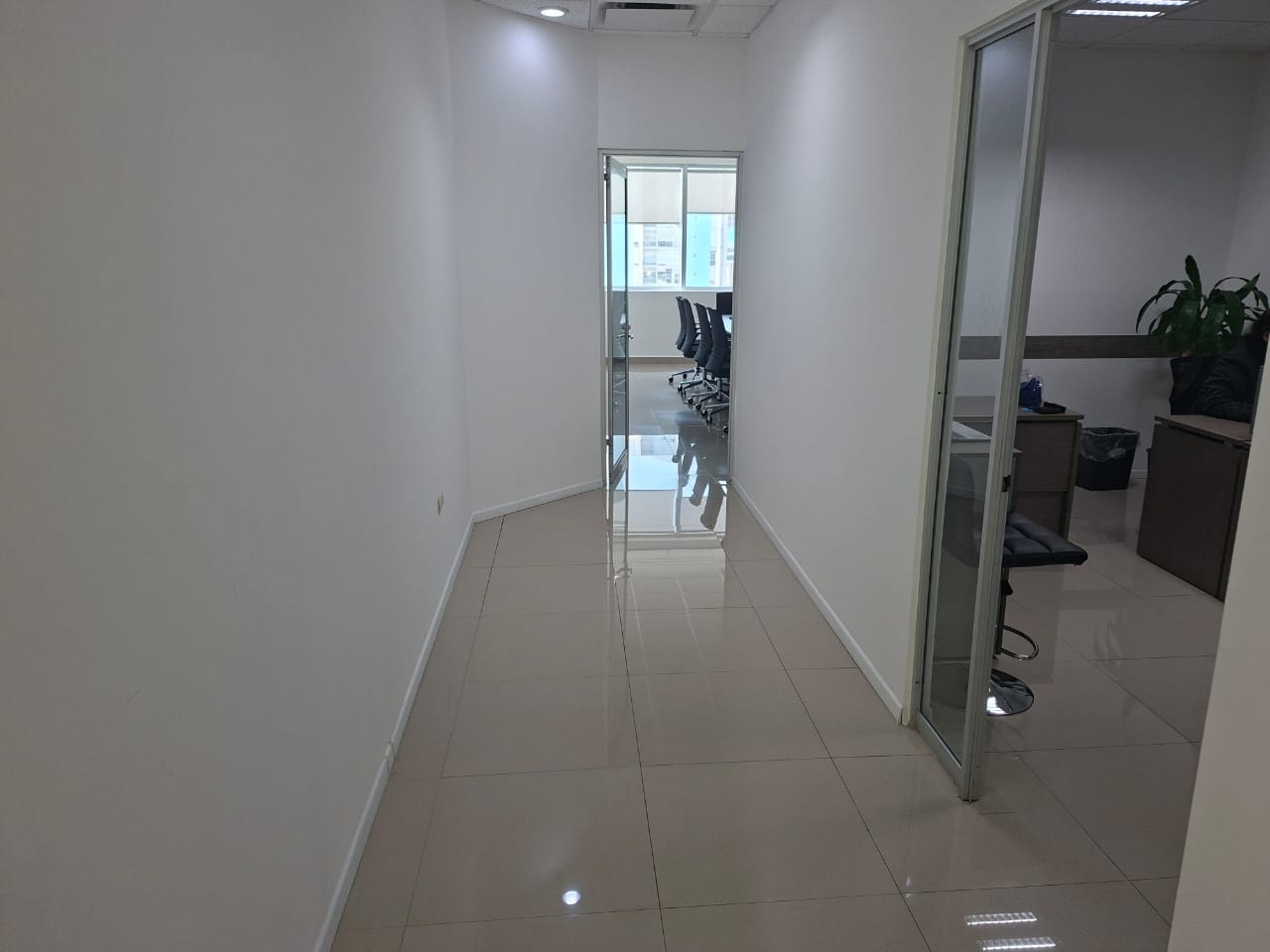 Oficina en Renta en Del Paseo Residencial