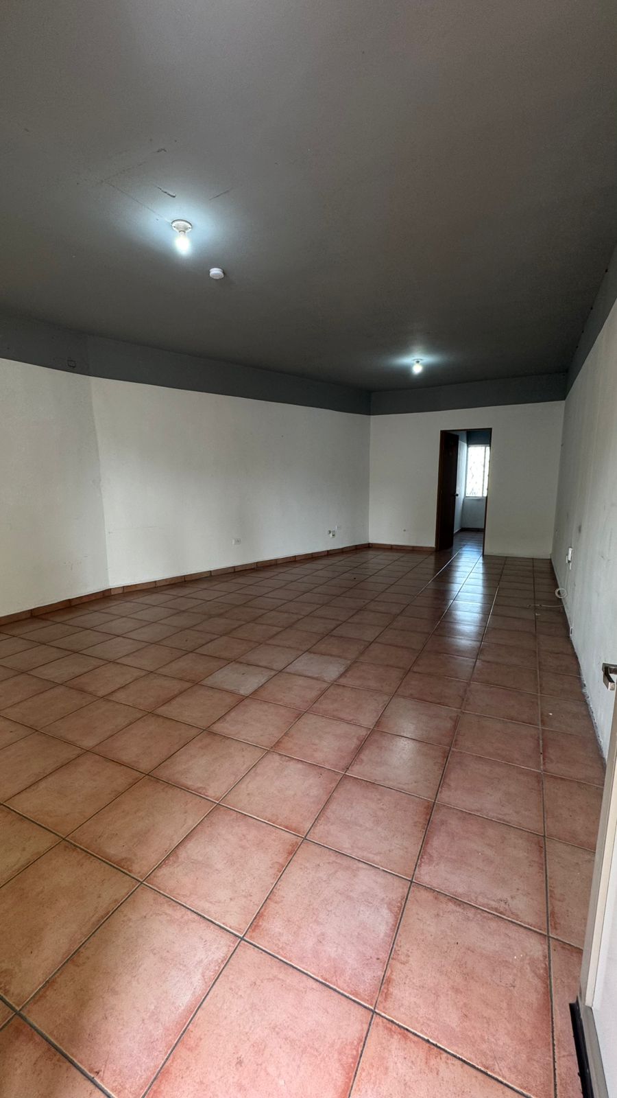 Local en Renta en Mitras Norte