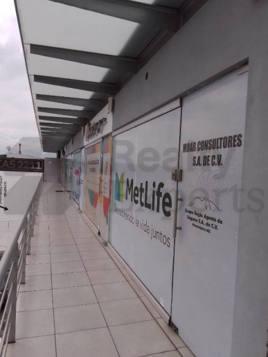 Local en Renta en Contry la Silla