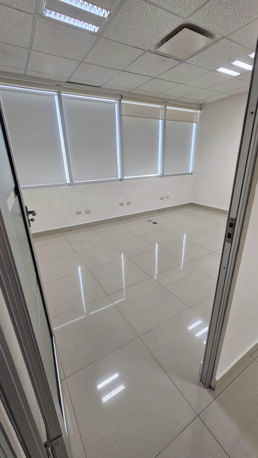 Oficina en Renta en Del Paseo Residencial