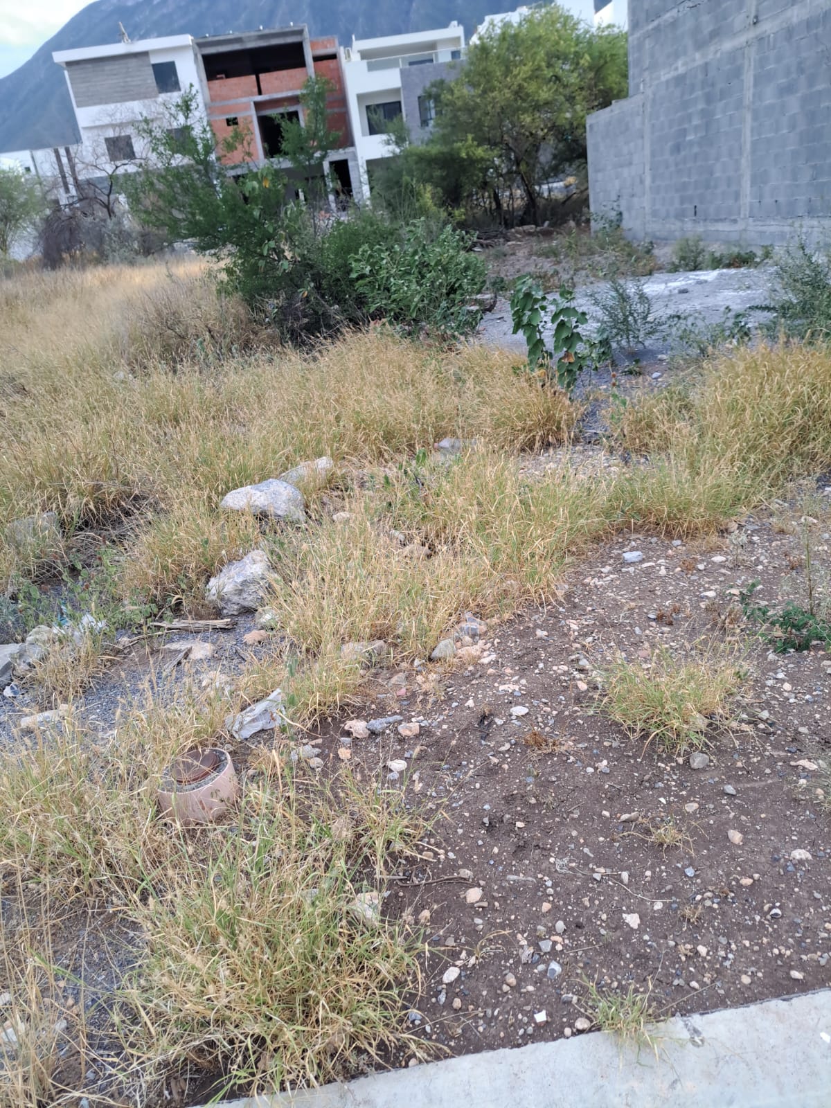 Terreno en Venta en Cumbres Platino