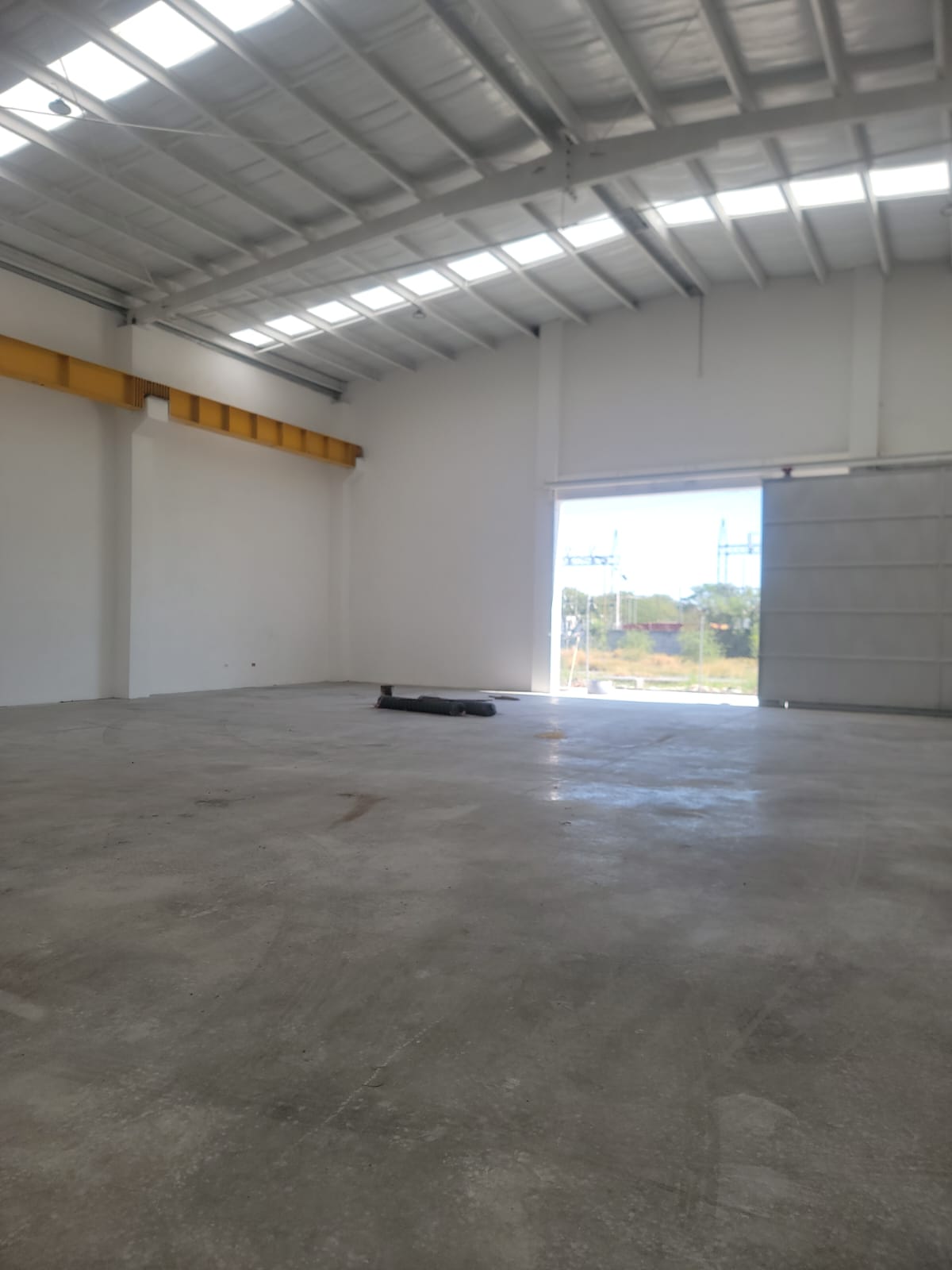 Bodega en Renta en Sin Colonia