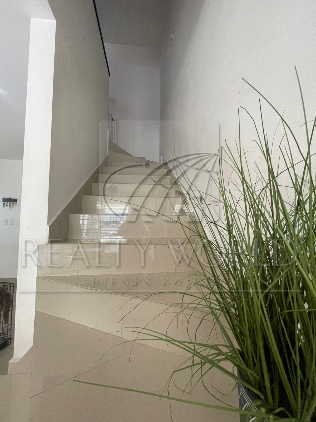 Casa en Renta en Anáhuac San Patricio