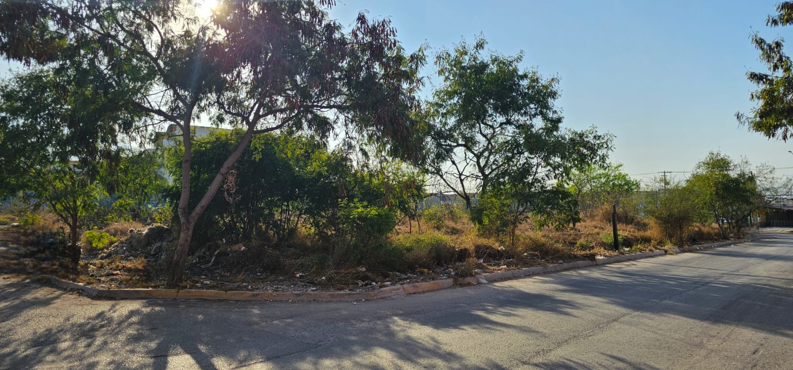 Terreno en Renta en Solidaridad