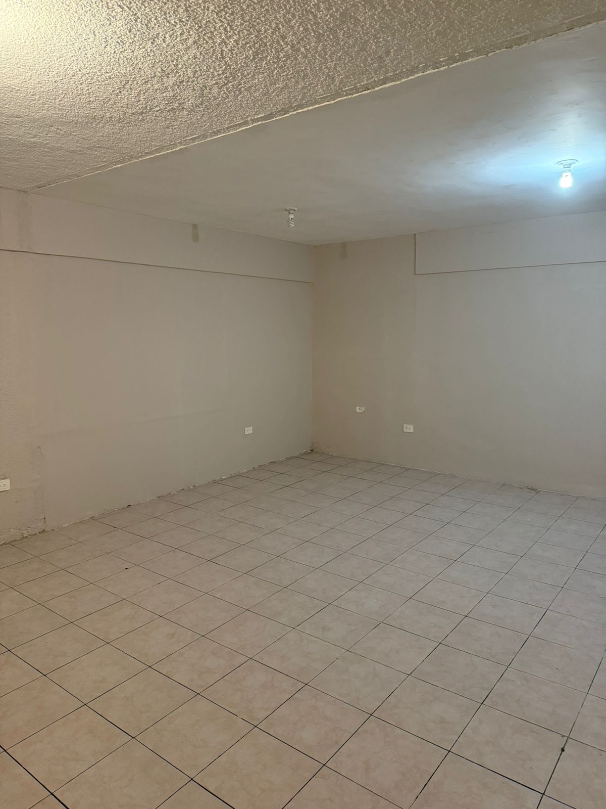 Oficina en Renta en Leones