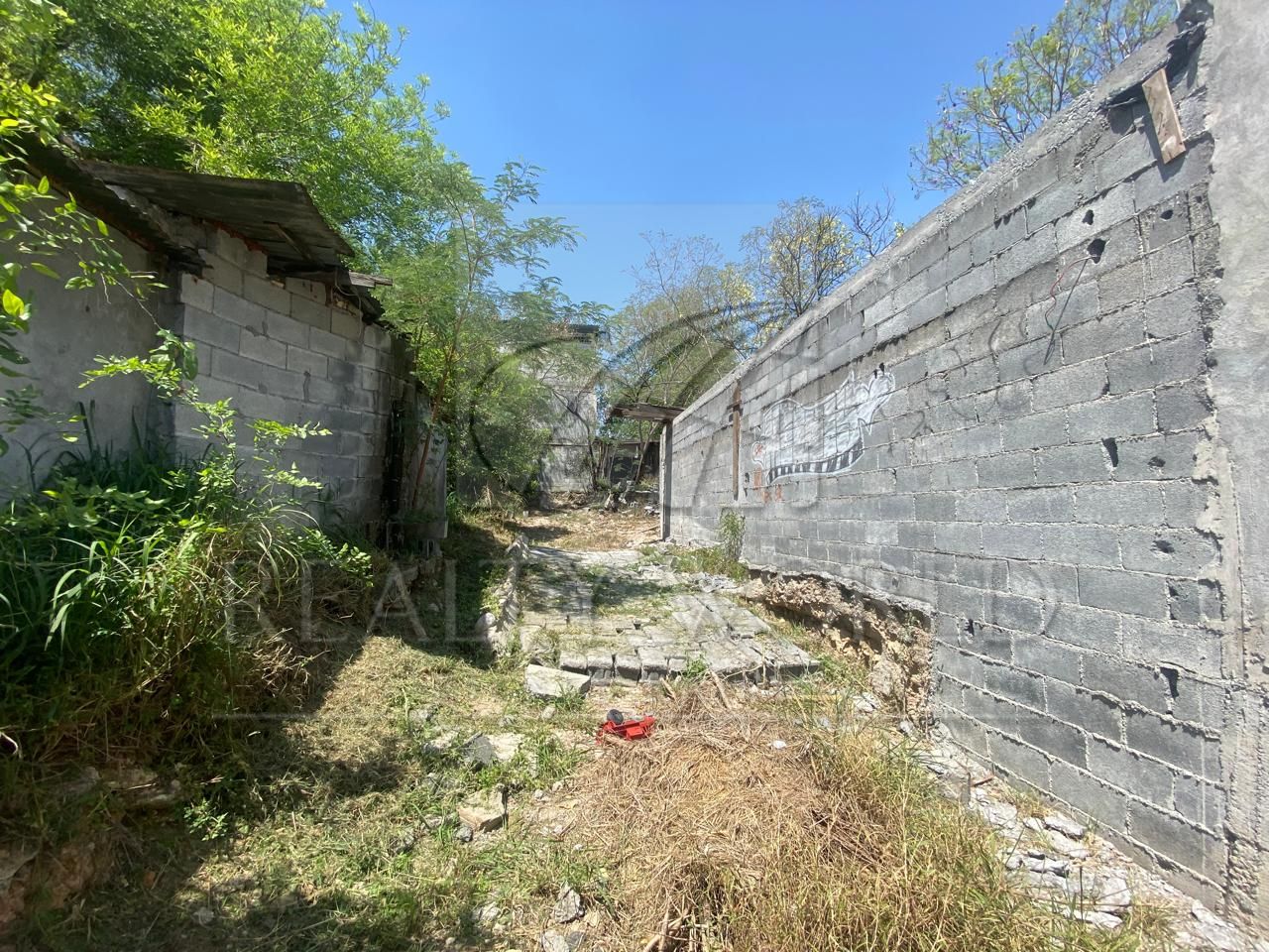 Terreno en Renta en Independencia
