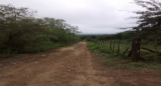 Terreno en Venta en San Roque