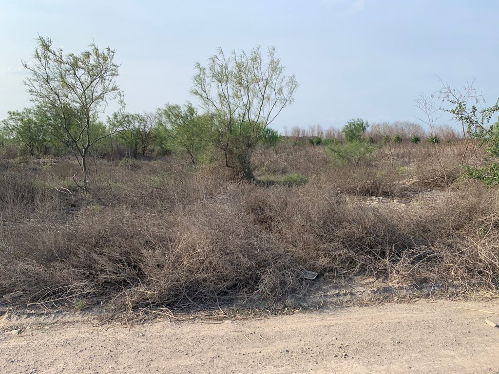 Terreno en Renta en San Isidro