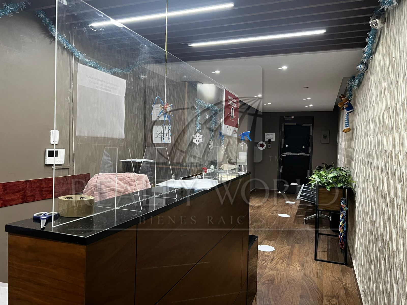 Oficina en Renta en Centro