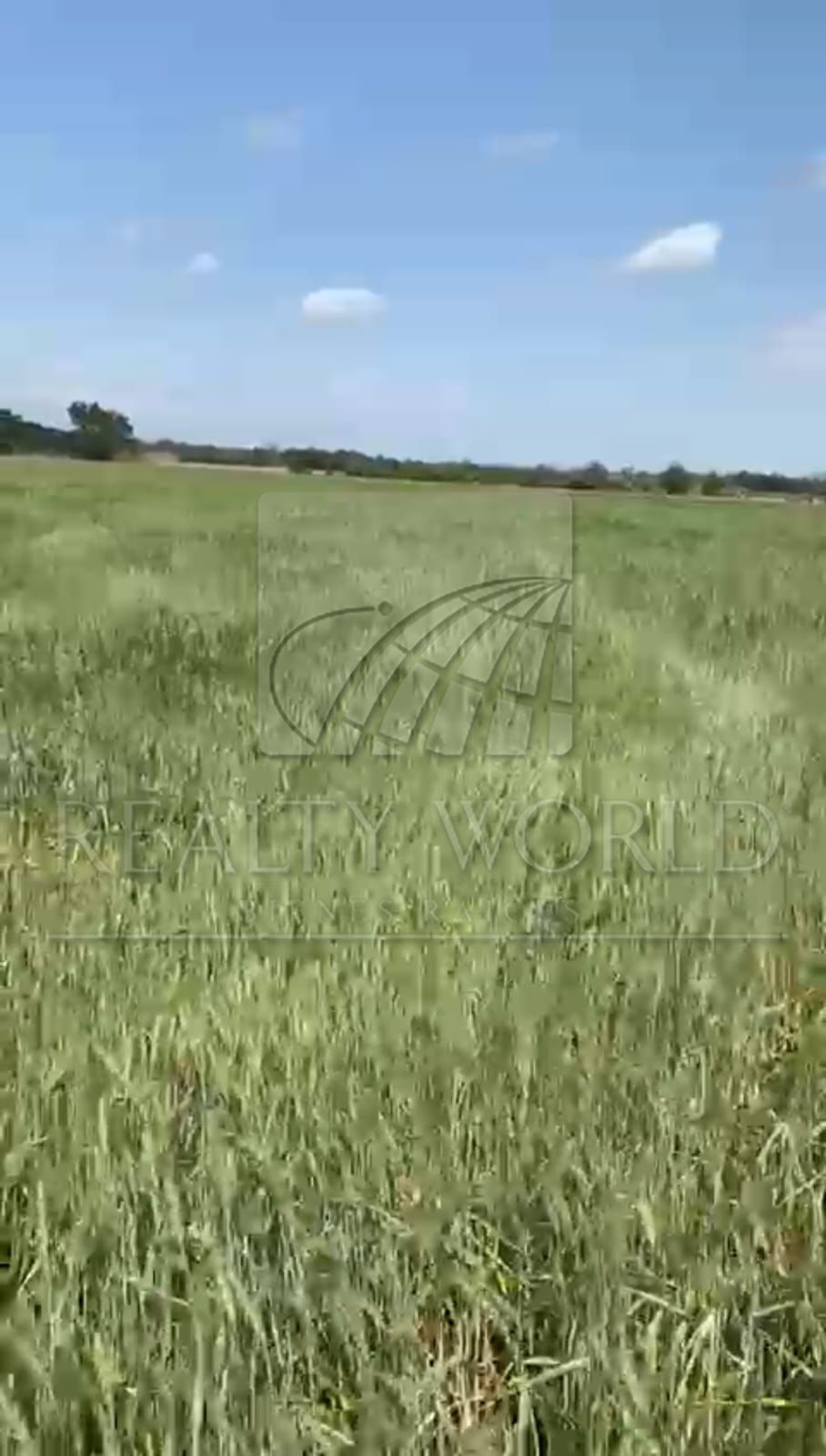Terreno en Venta en San Lorenzo
