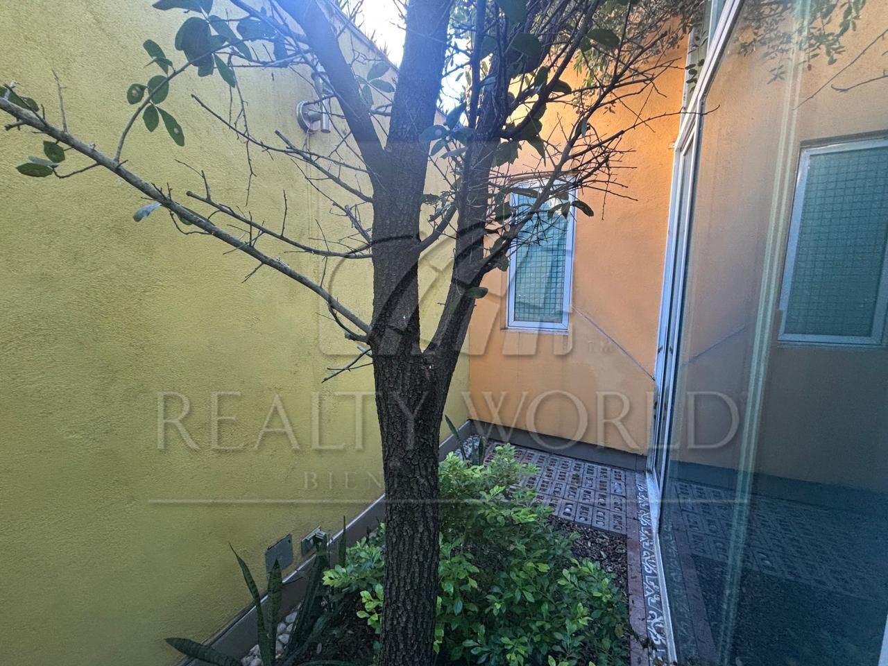 Departamento en Renta en Mitras Centro