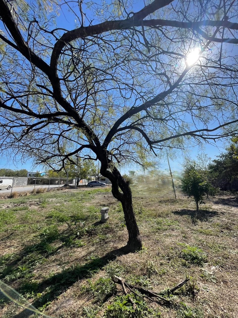 Terreno en Venta en Agropecuaria Emiliano Zapata