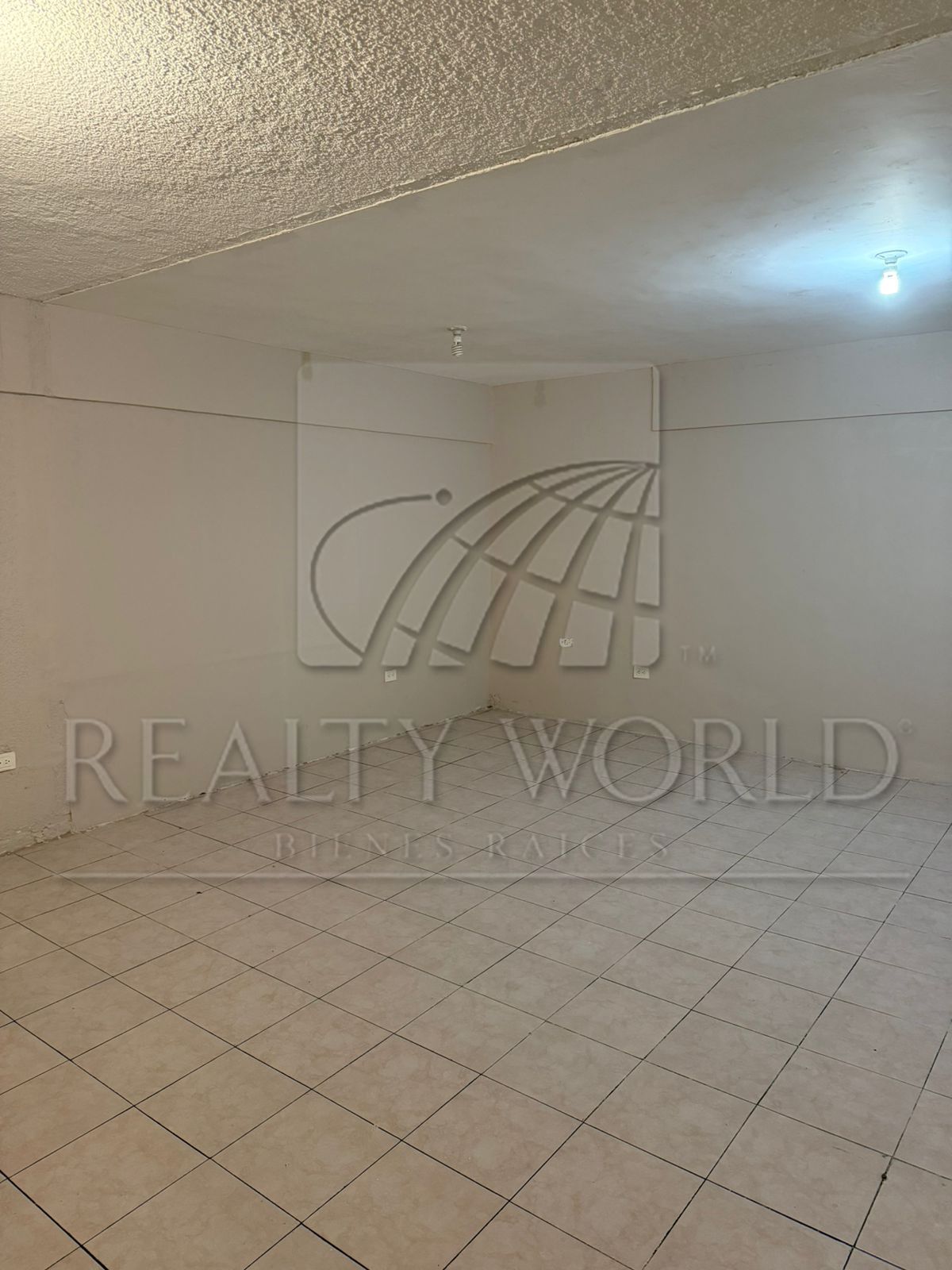 Oficina en Renta en Leones