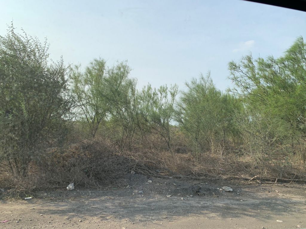 Terreno en Renta en San Isidro