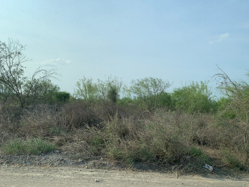 Terreno en Renta en San Isidro