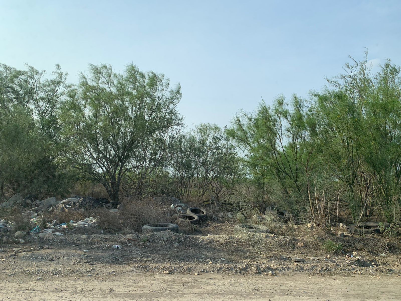 Terreno en Renta en Colectivo
