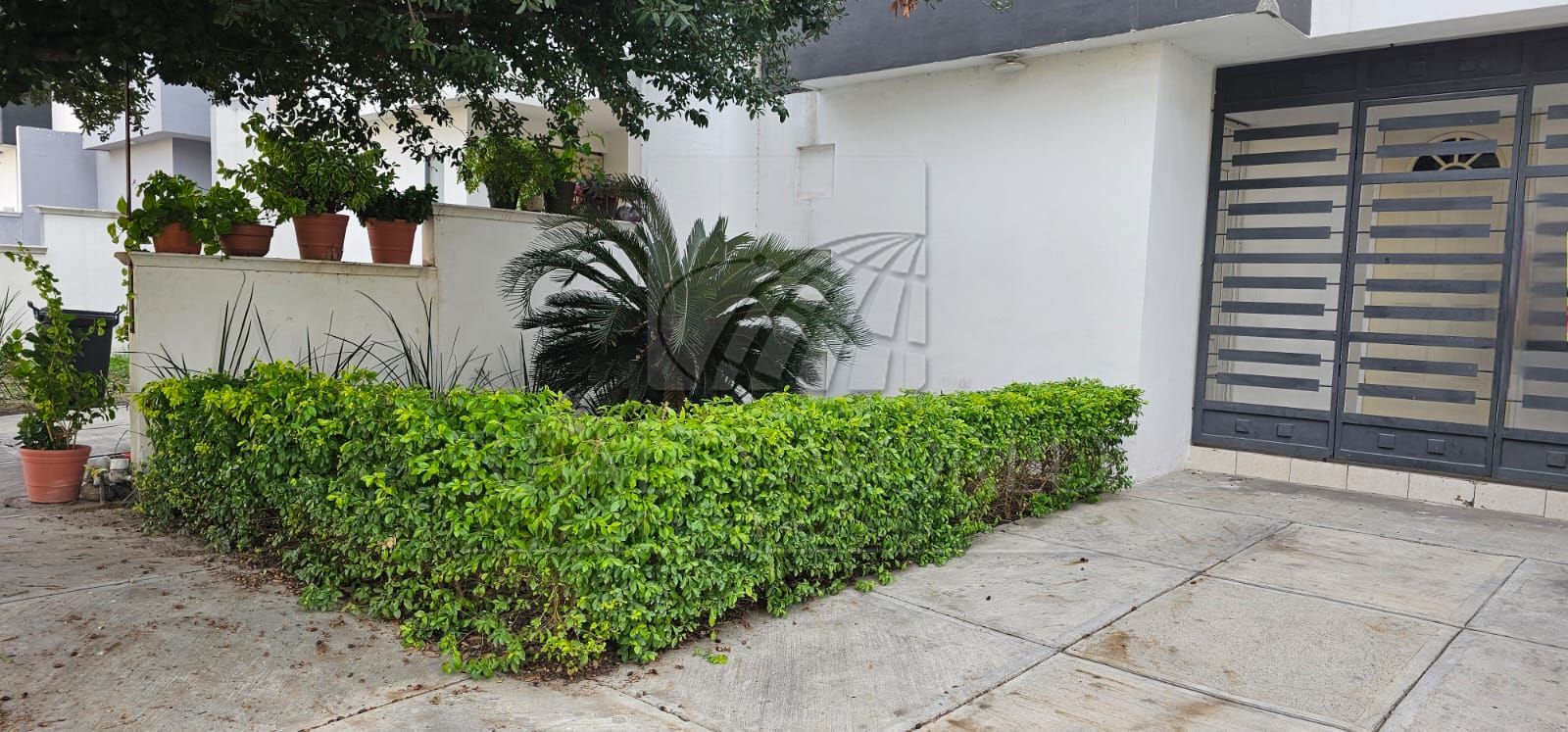 Casa en Renta en Las Lomas